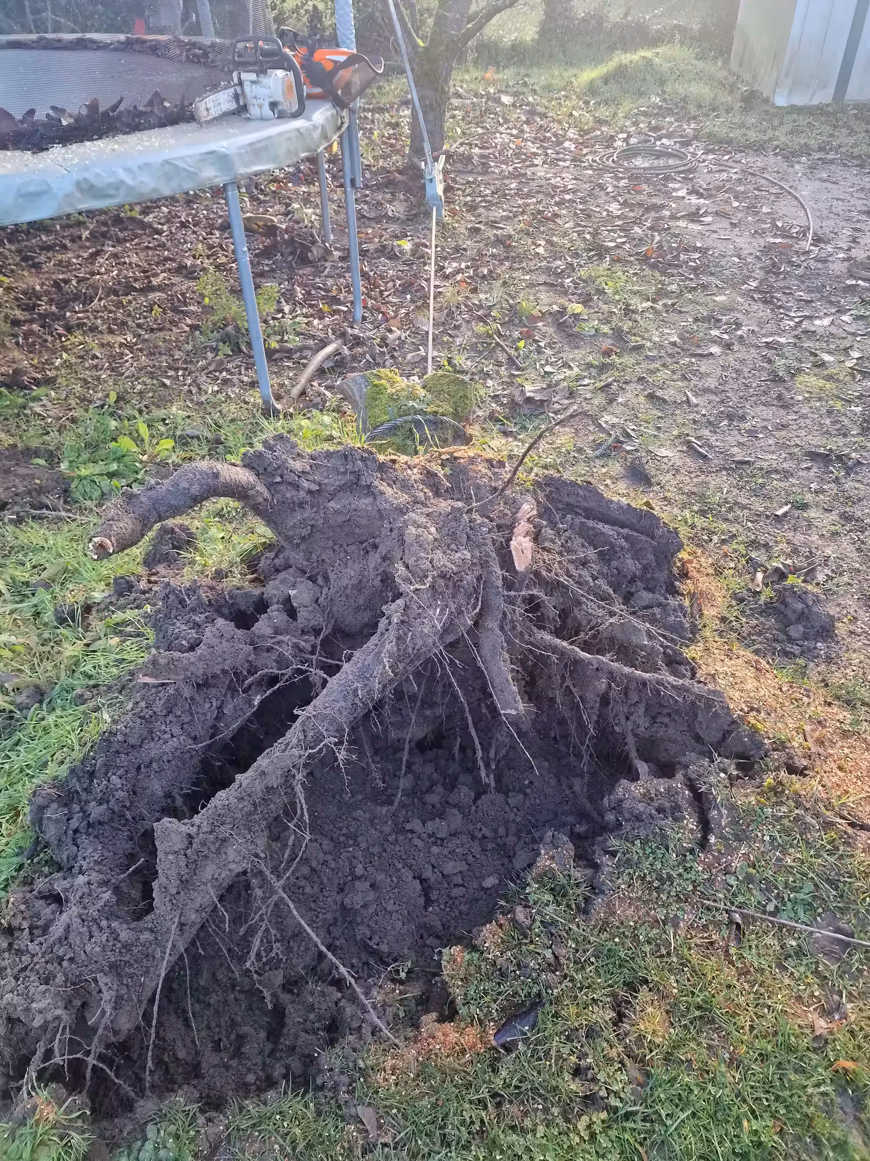 Dessouchage réalisation 4_2