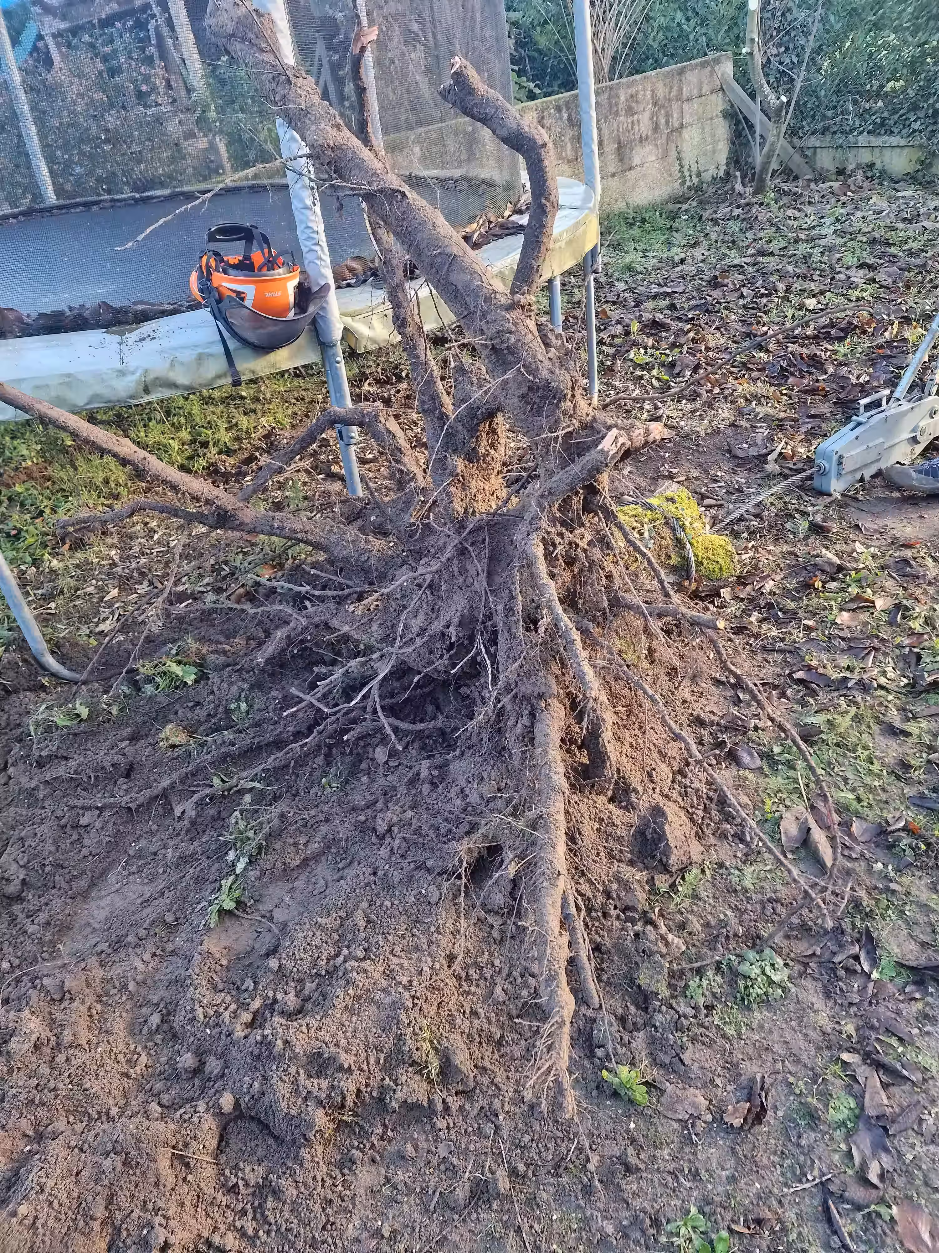 Dessouchage réalisation 4_2