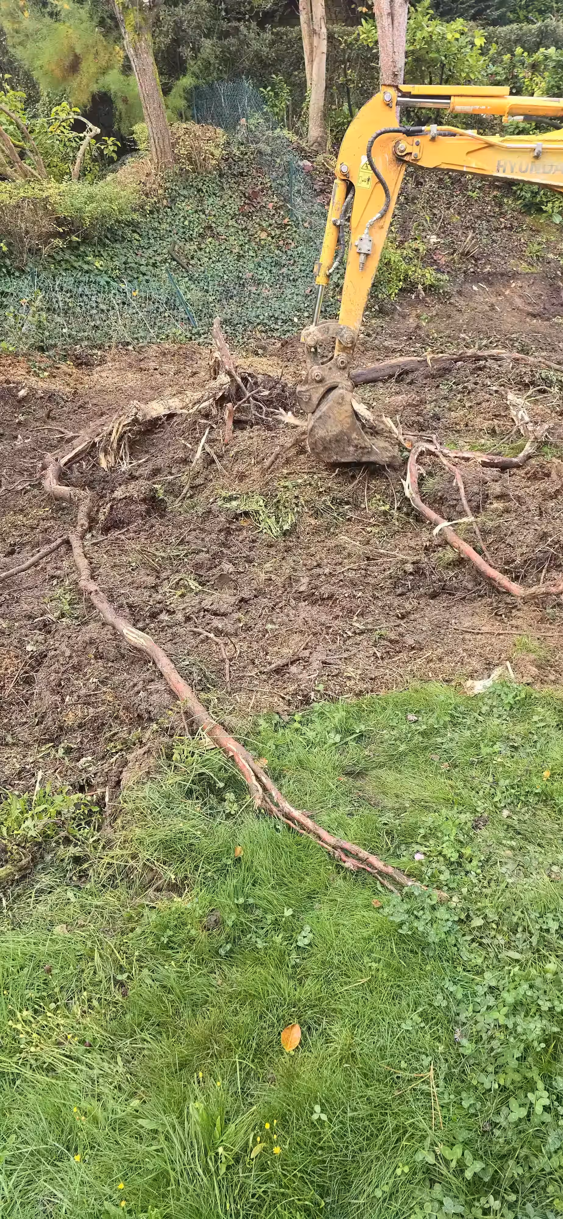 Dessouchage réalisation 4_3