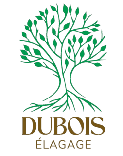 Dubois Elagage