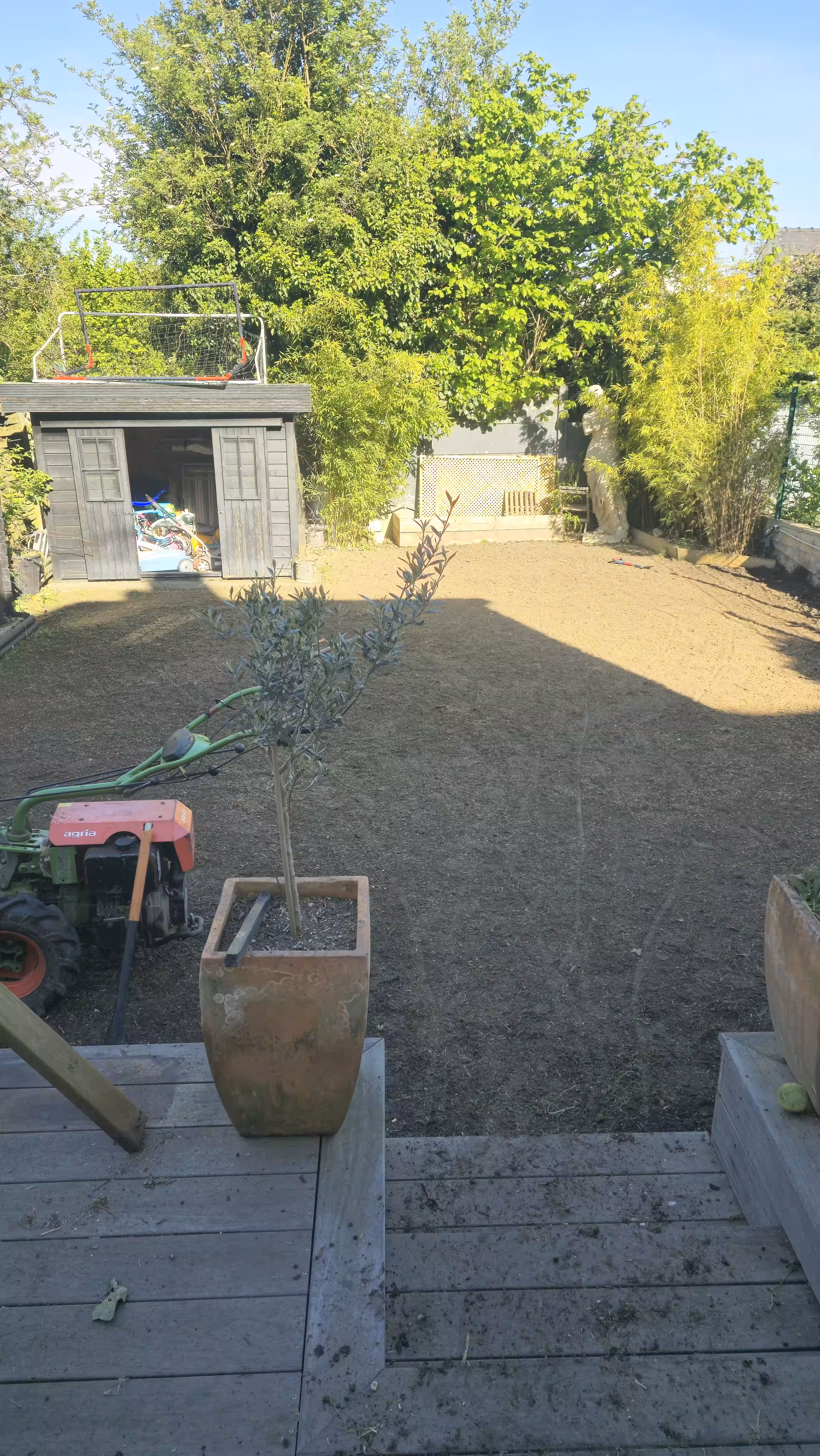 Pose de gazon en rouleau