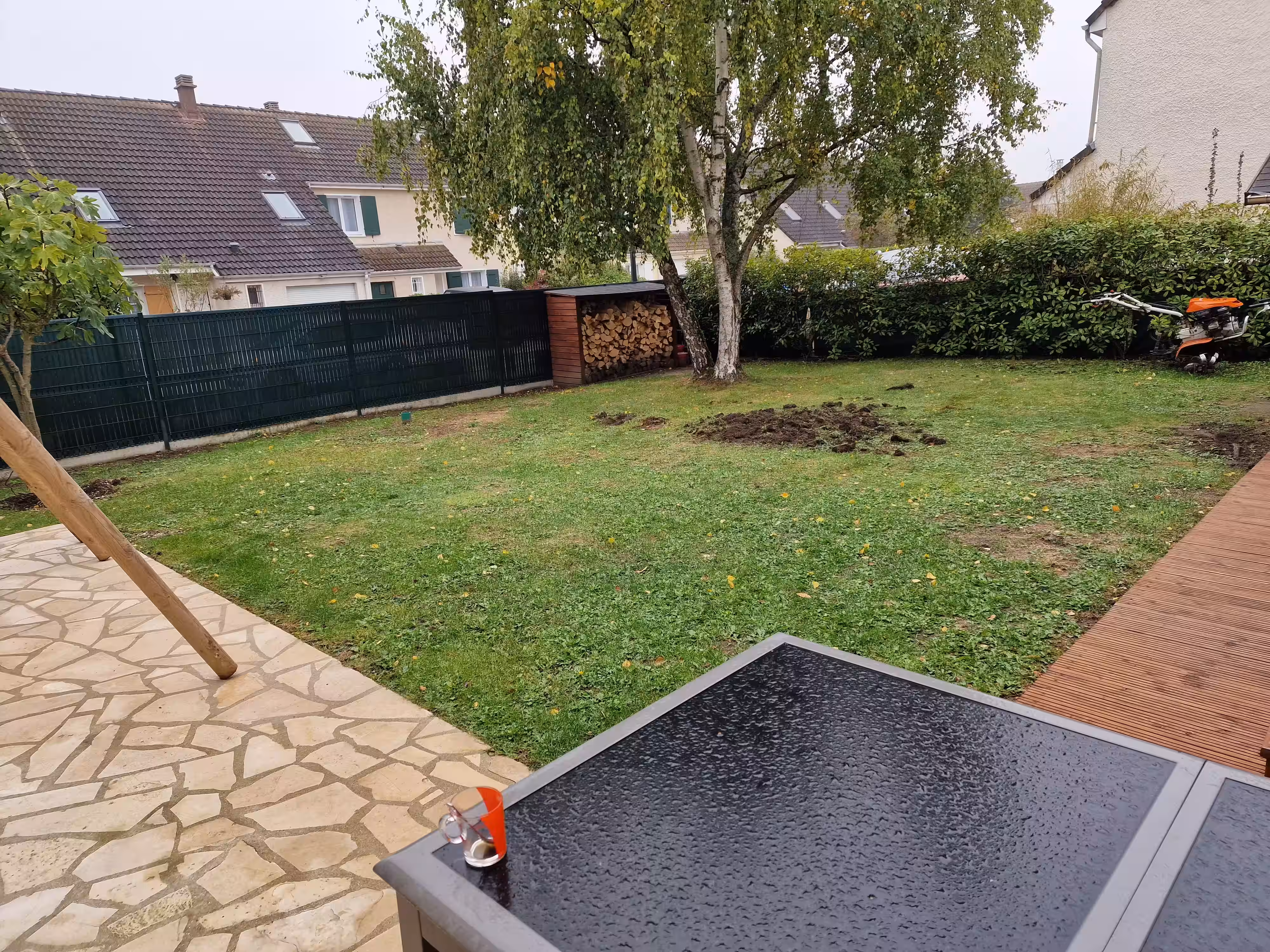 Création d'un gazon en semis