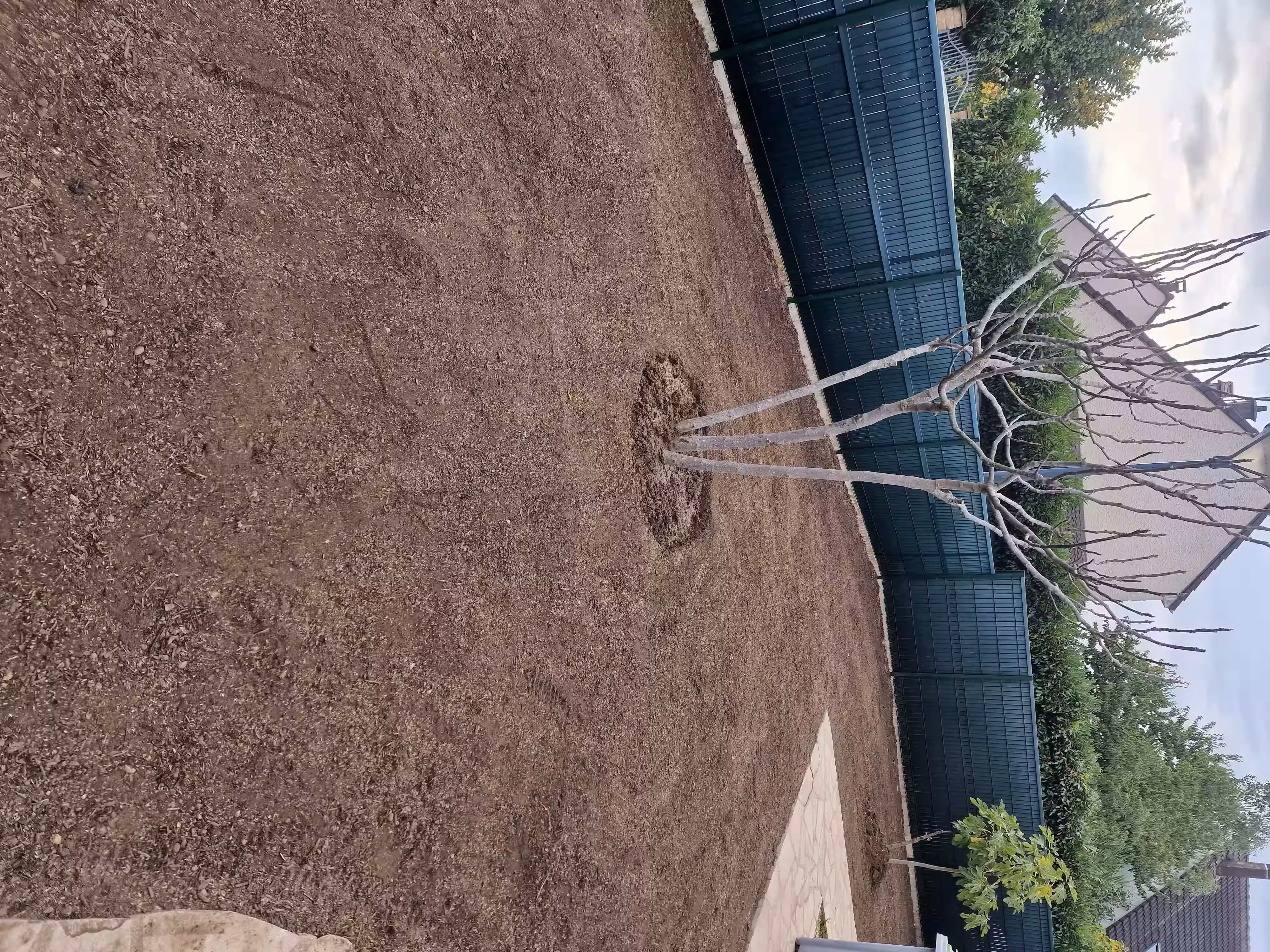 Création d'un gazon en semis