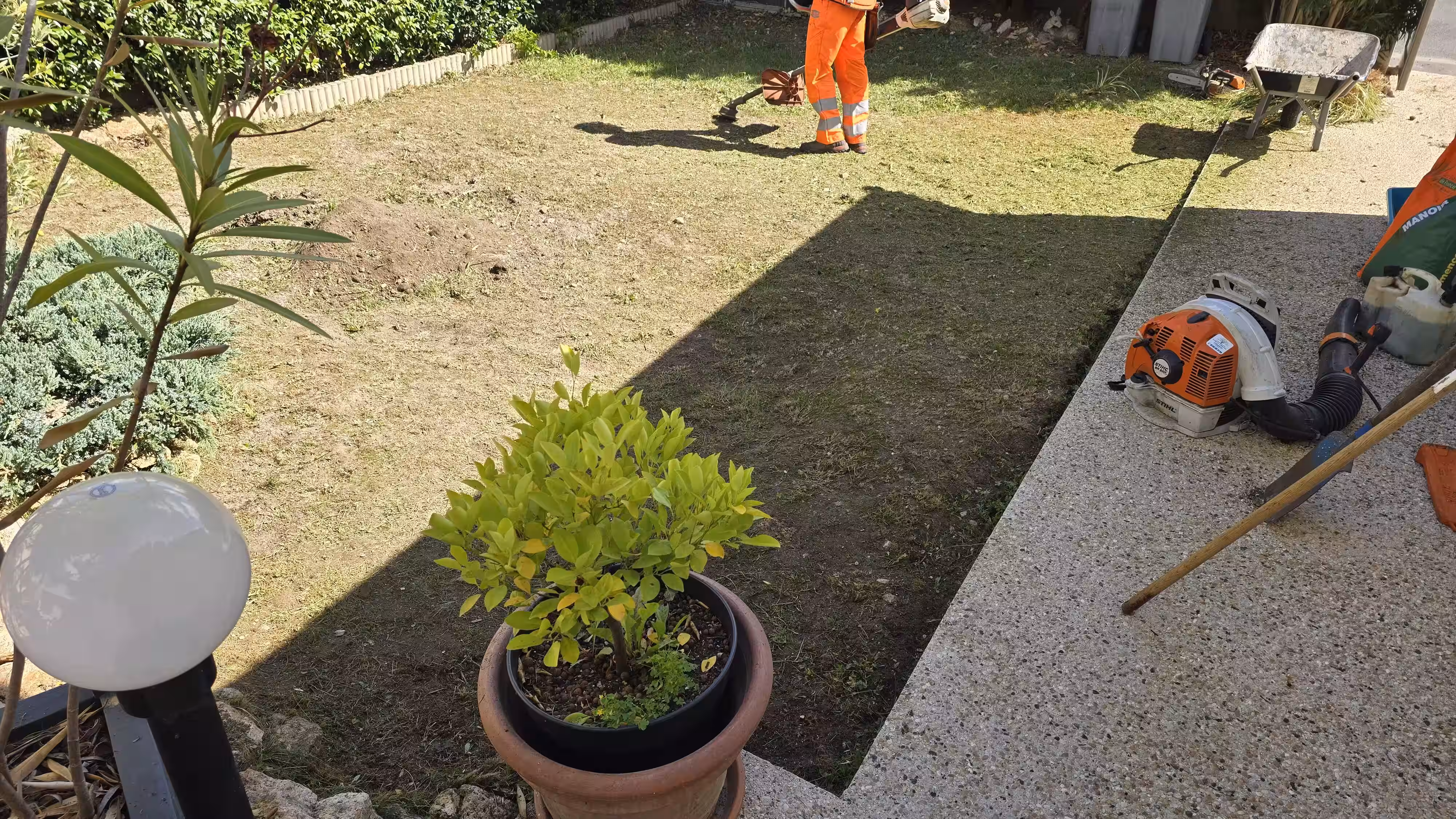 Création d'un gazon en semis
