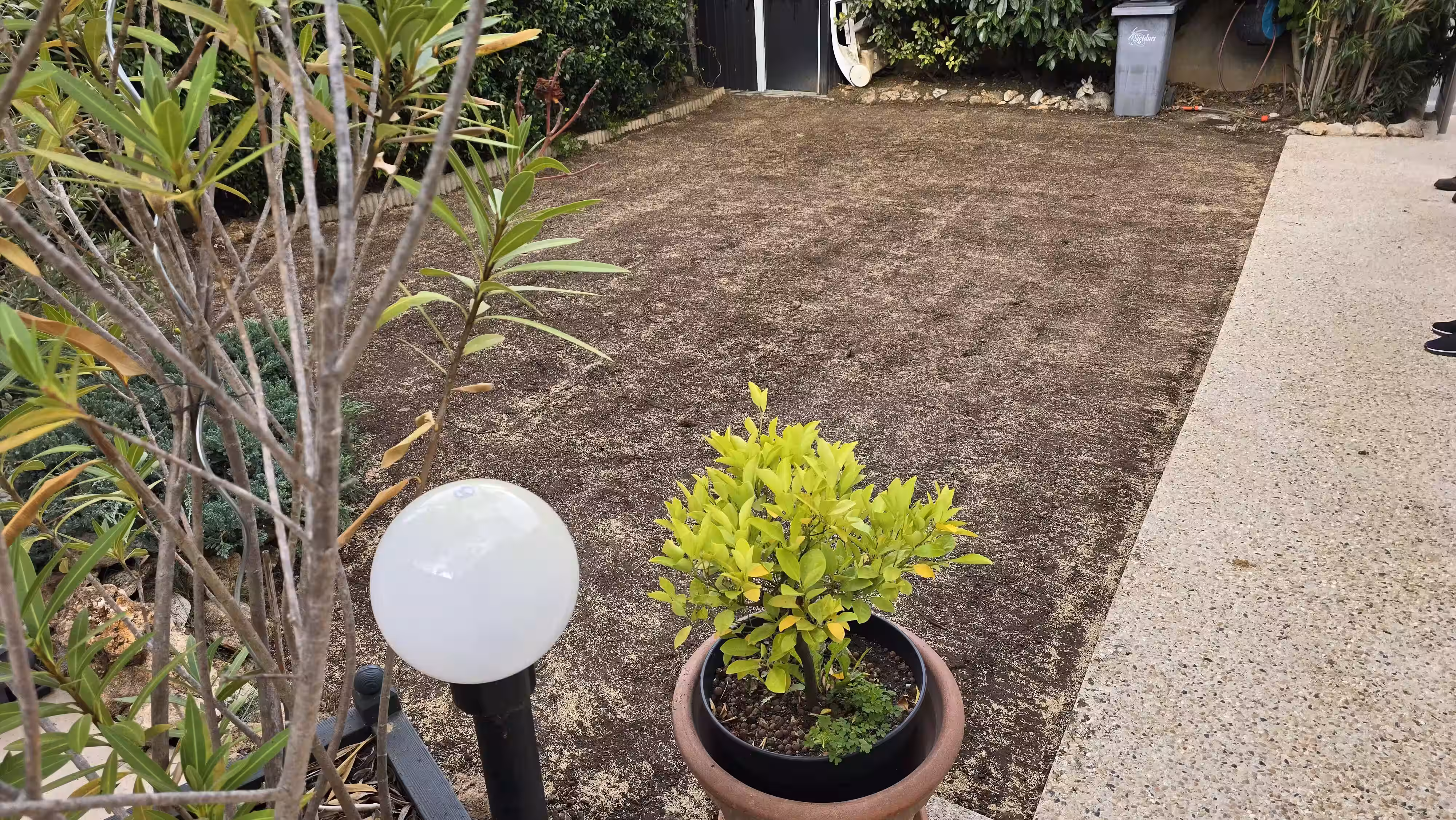 Création d'un gazon en semis